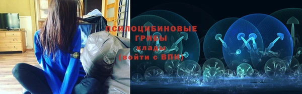 шишки Лабытнанги