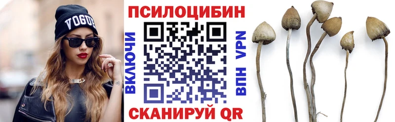 ОМГ ОМГ онион  Похвистнево  Псилоцибиновые грибы Cubensis 