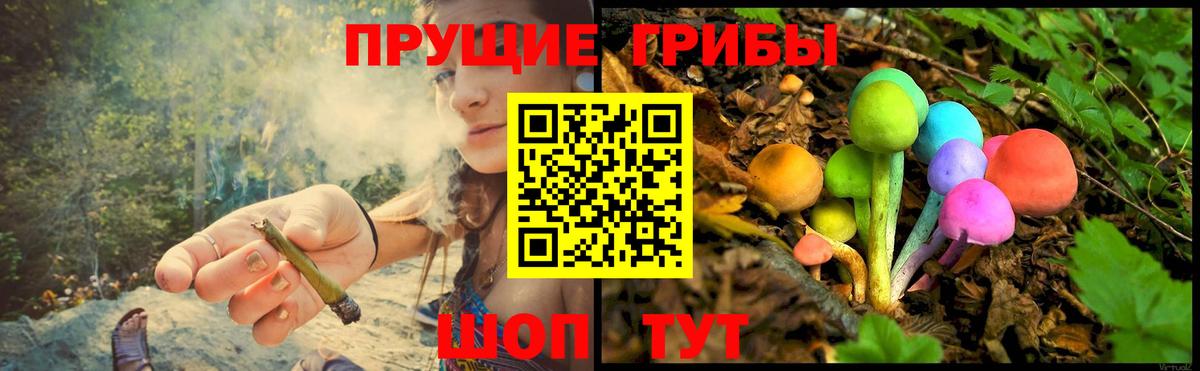 Псилоцибиновые грибы прущие грибы  Вход с VPN  купить  сайты  Похвистнево 